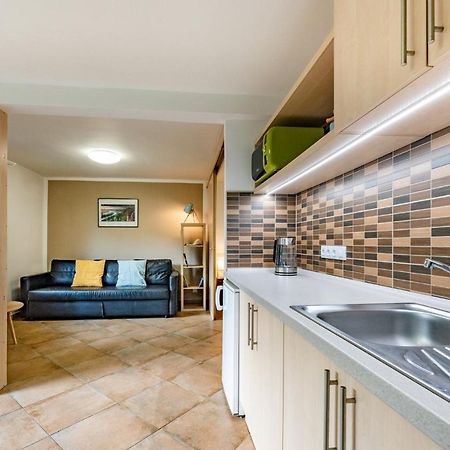 Apartment Vaclavov 德辛 外观 照片