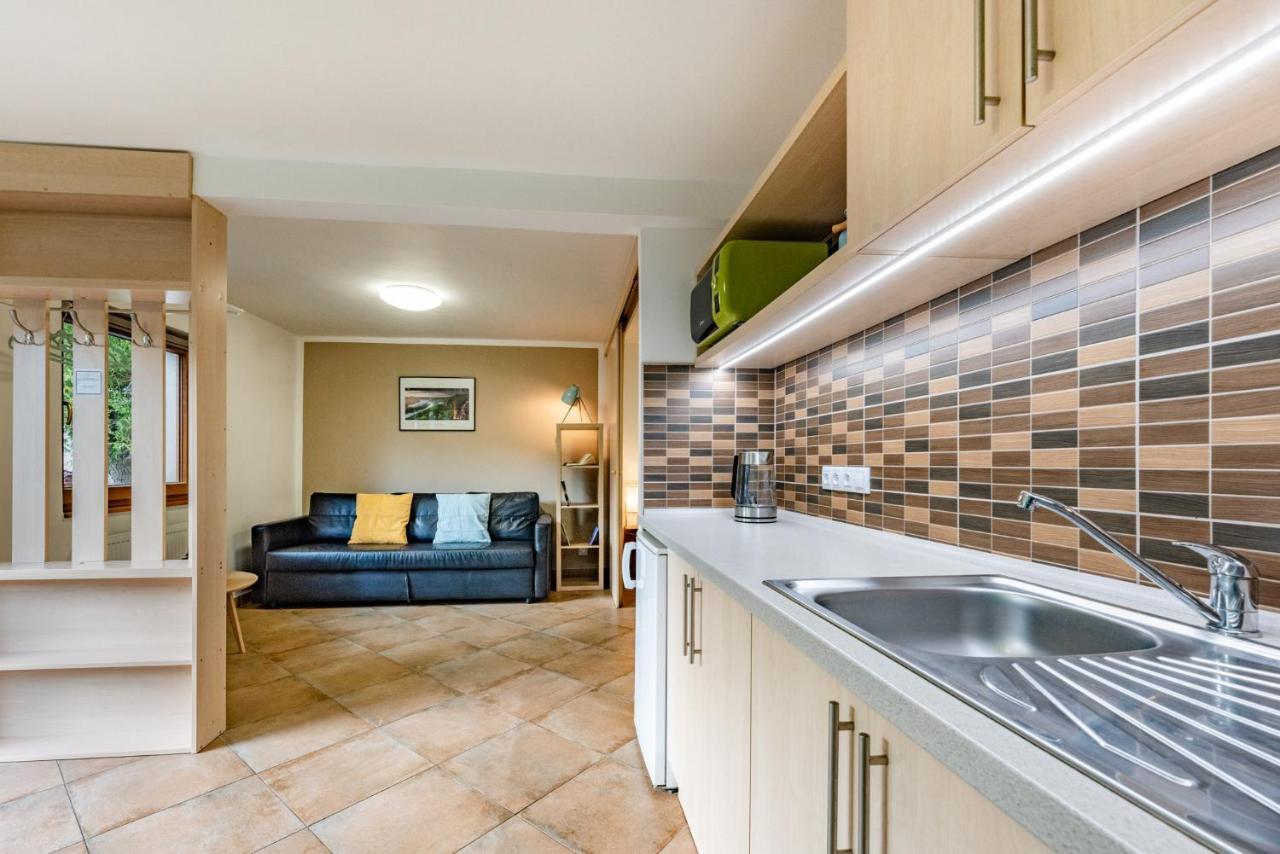 Apartment Vaclavov 德辛 外观 照片