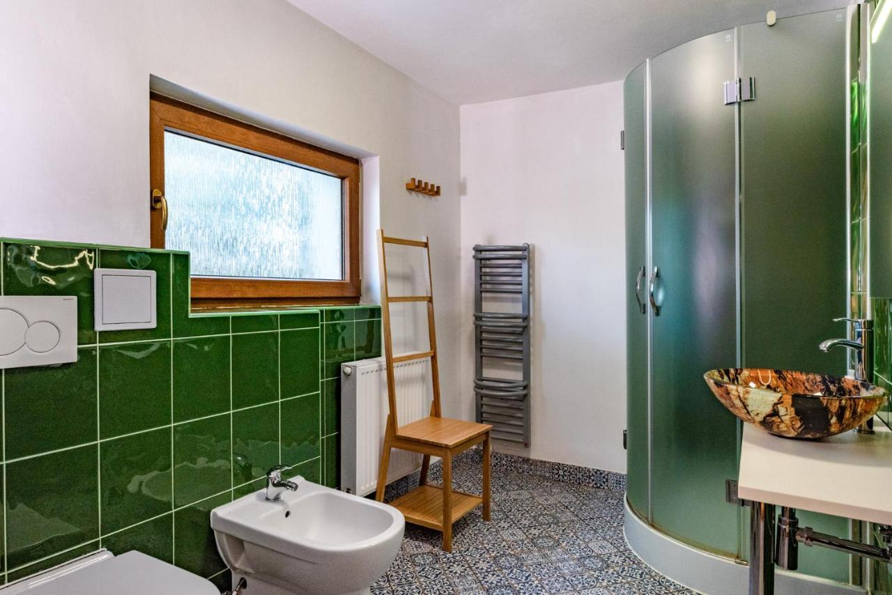 Apartment Vaclavov 德辛 外观 照片